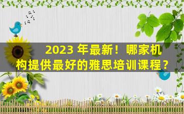 2023 年最新！哪家机构提供最好的雅思培训课程？